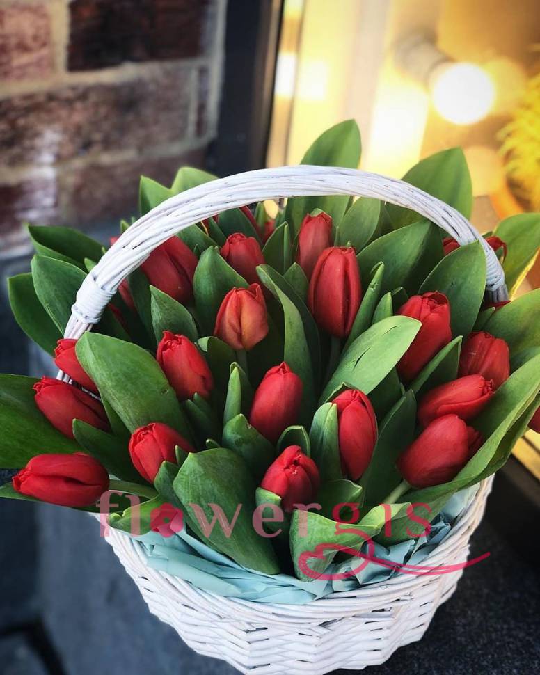 Купить Сейчас Тюльпаны В Могилеве